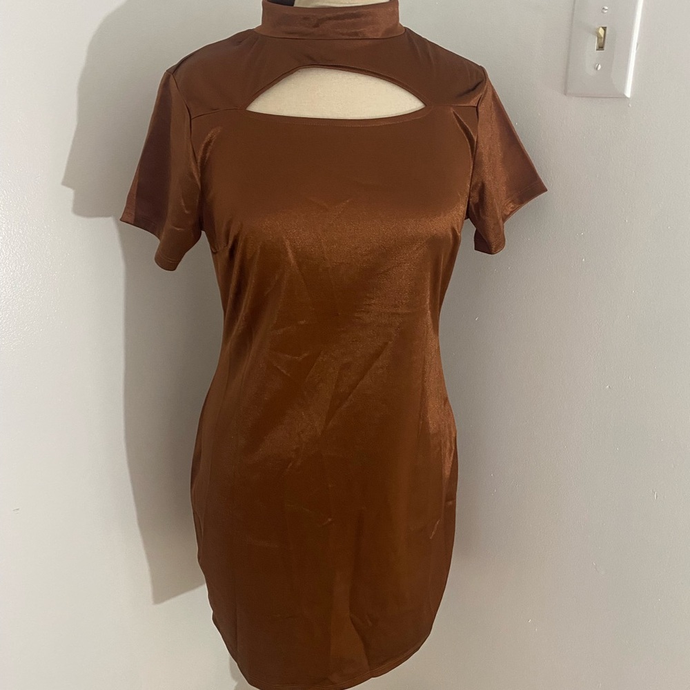 Brown Silk Dress